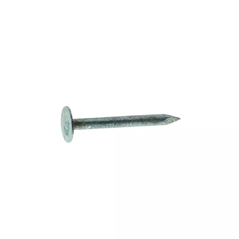 1 In. Electro-galvanized Steel Roofing Nails, 11-gauge, 5 Lb Box