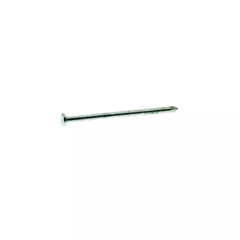 8d 2-1/2 In. Hot-dipped Galvanized Steel Common Nails 5 Lb Box