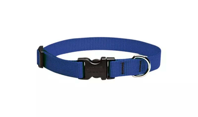 Basic Solids Blue Nylon Adjustable Dog Collar 9-14 Inches