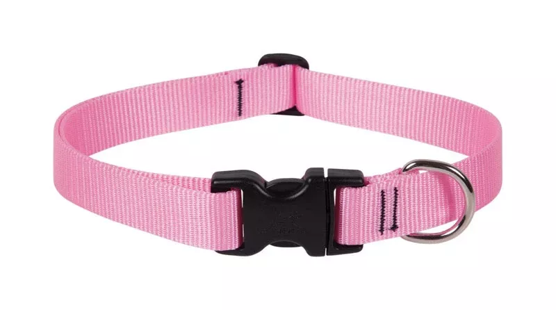 Basic Solids Pink Nylon Adjustable Dog Collar 12-20 Inch