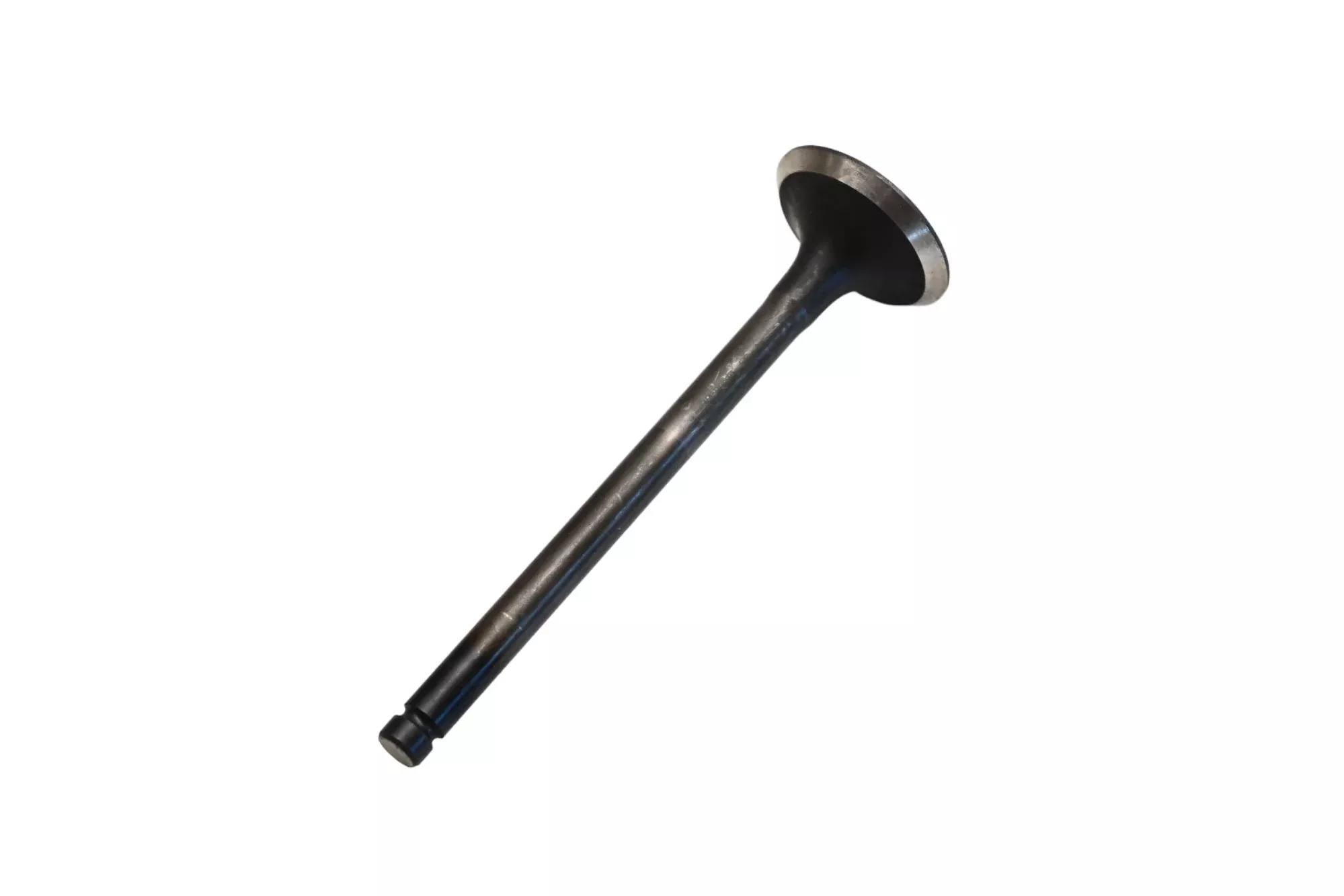 Beck/Arnley 021-3289 Exhaust Valve NOS