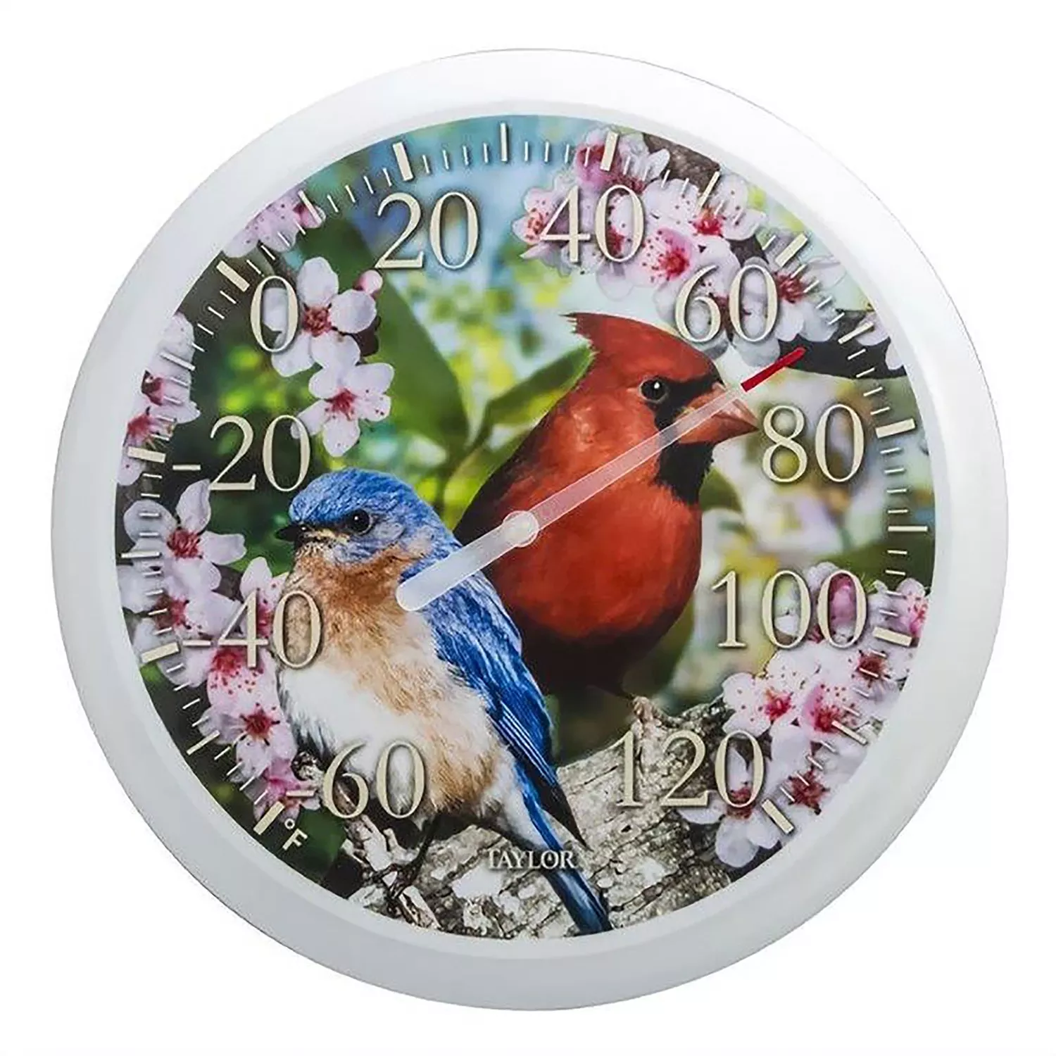 Cardinal/blue Bird Dial Thermometer Plastic Multicolored 13.25 In.