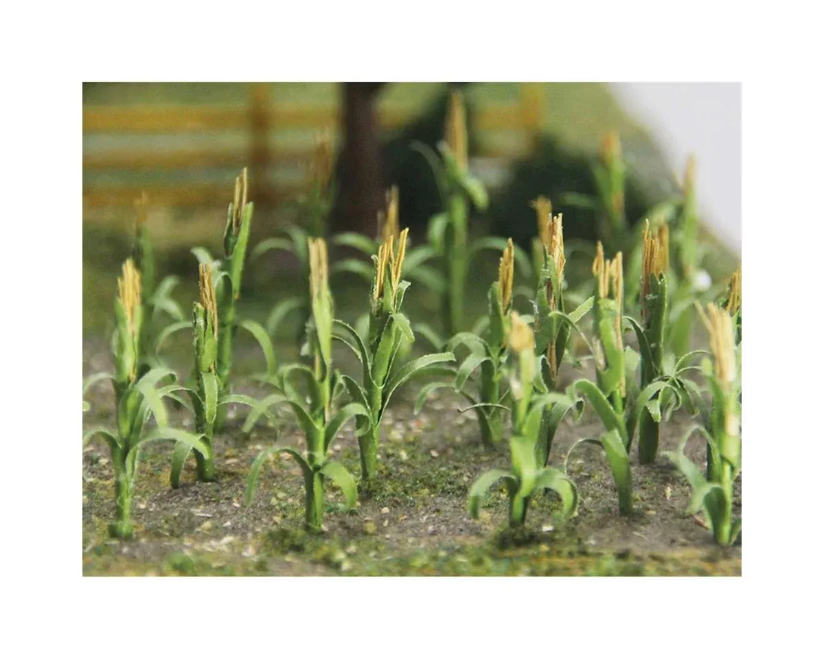 Corn Stalks – 1″ Tall (30) (BAC32501)