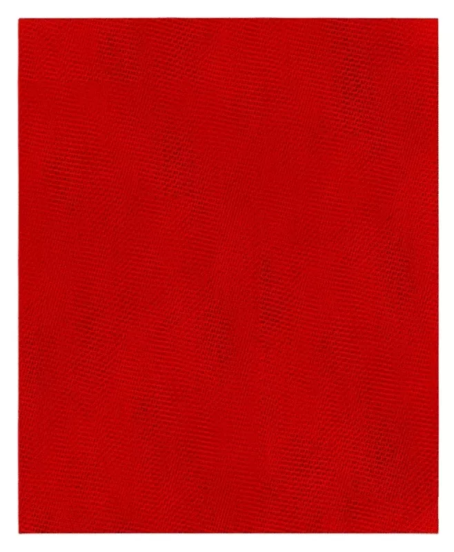 Diablo Sandnet 11 In. L X 9 In. W 80 Grit Ceramic Sanding Sheet 5 Pk