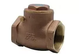 FPPI Fire Protection Check Valve 06-800 Backflow Control