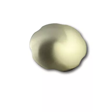 Kohler 1055589-Bn Handle Kit