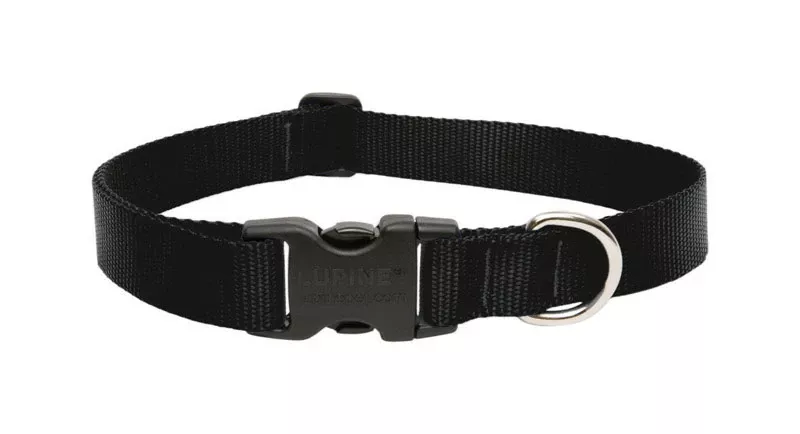 Lupine Pet Basic Solids Black Nylon Adjustable Dog Collar 16-28 In.