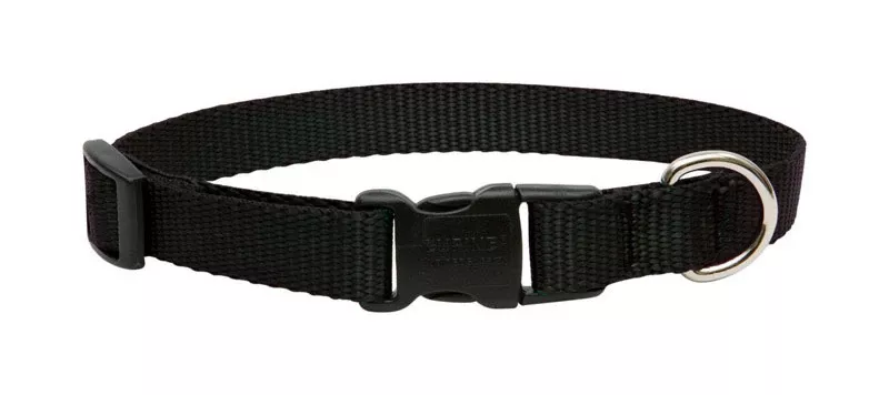 Lupine Pet Basic Solids Black Nylon Adjustable Dog Collar 9-14 Inches