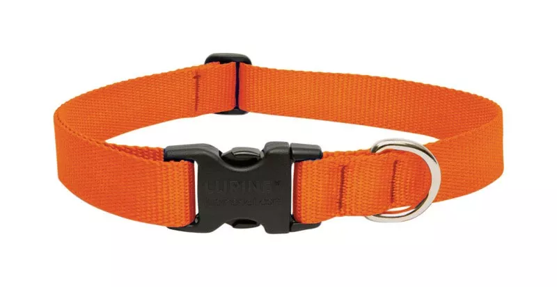 Lupine Pet Basic Solids Blaze Orange Nylon Adjustable Dog Collar 16-28 Inches