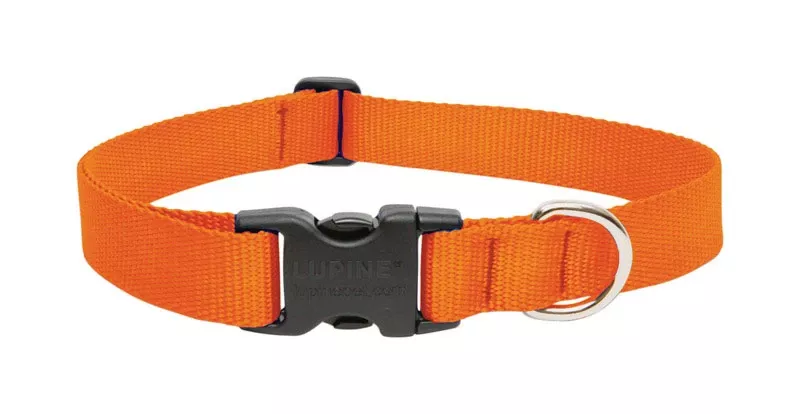 Lupine Pet Basic Solids Blaze Orange Nylon Dog Adjustable Collar 12-20 In.