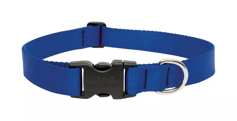 Lupine Pet Basic Solids Blue Nylon Adjustable Dog Collar 12-20 Inches