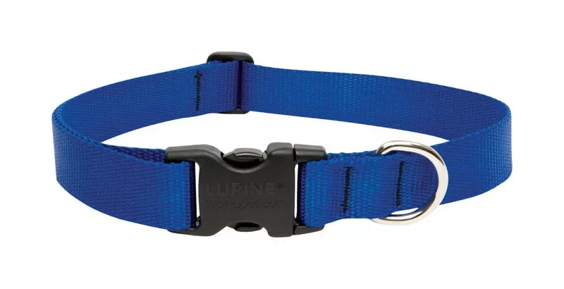 Lupine Pet Basic Solids Blue Nylon Adjustable Dog Collar 16-28 In, 1 In Wide