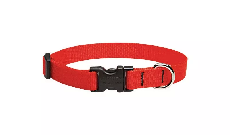 Lupine Pet Basic Solids Red Nylon Adjustable Dog Collar 9-14 Inches