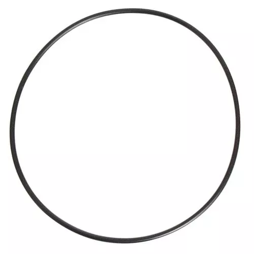 March Nano Brewery Pump - Replacement Gasket