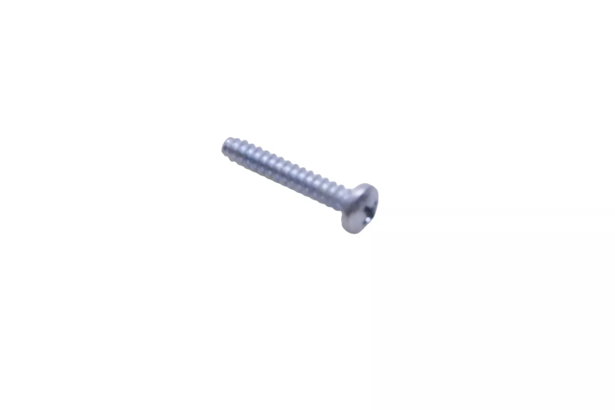 New OEM Polaris 4032029 Taillight Screw NOS