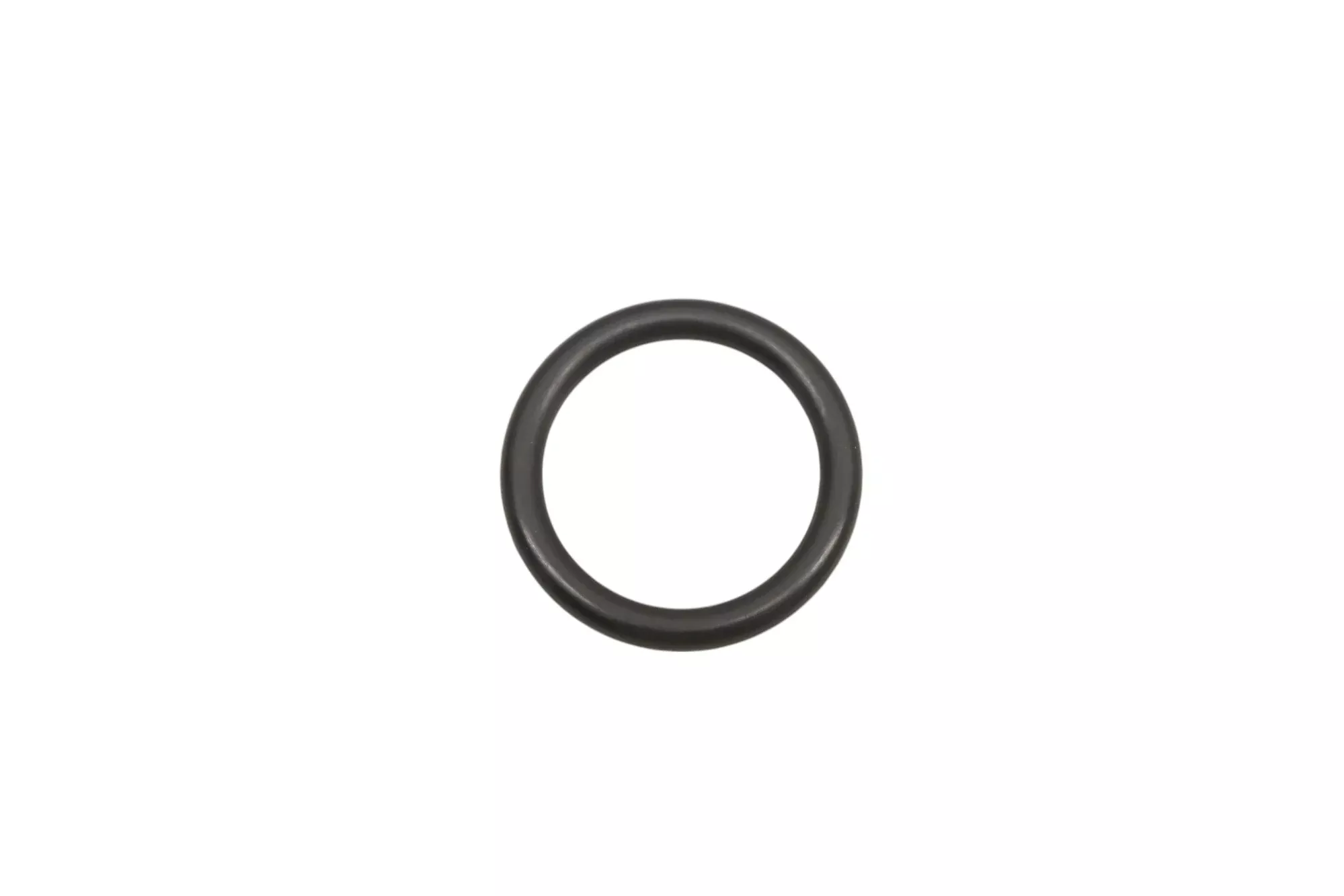 New OEM Polaris 5411965 O-Ring NOS