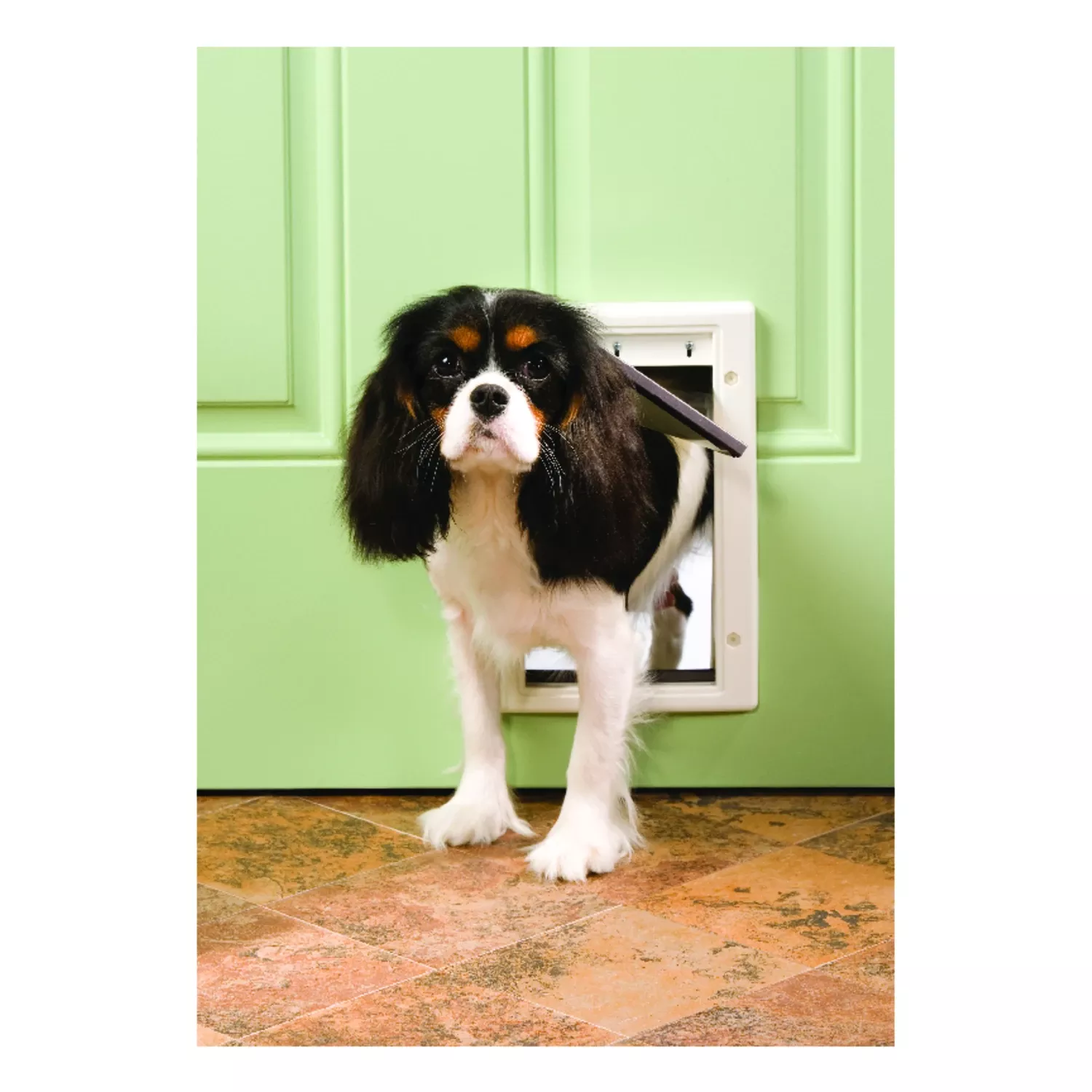 Plastic Pet Door- Small