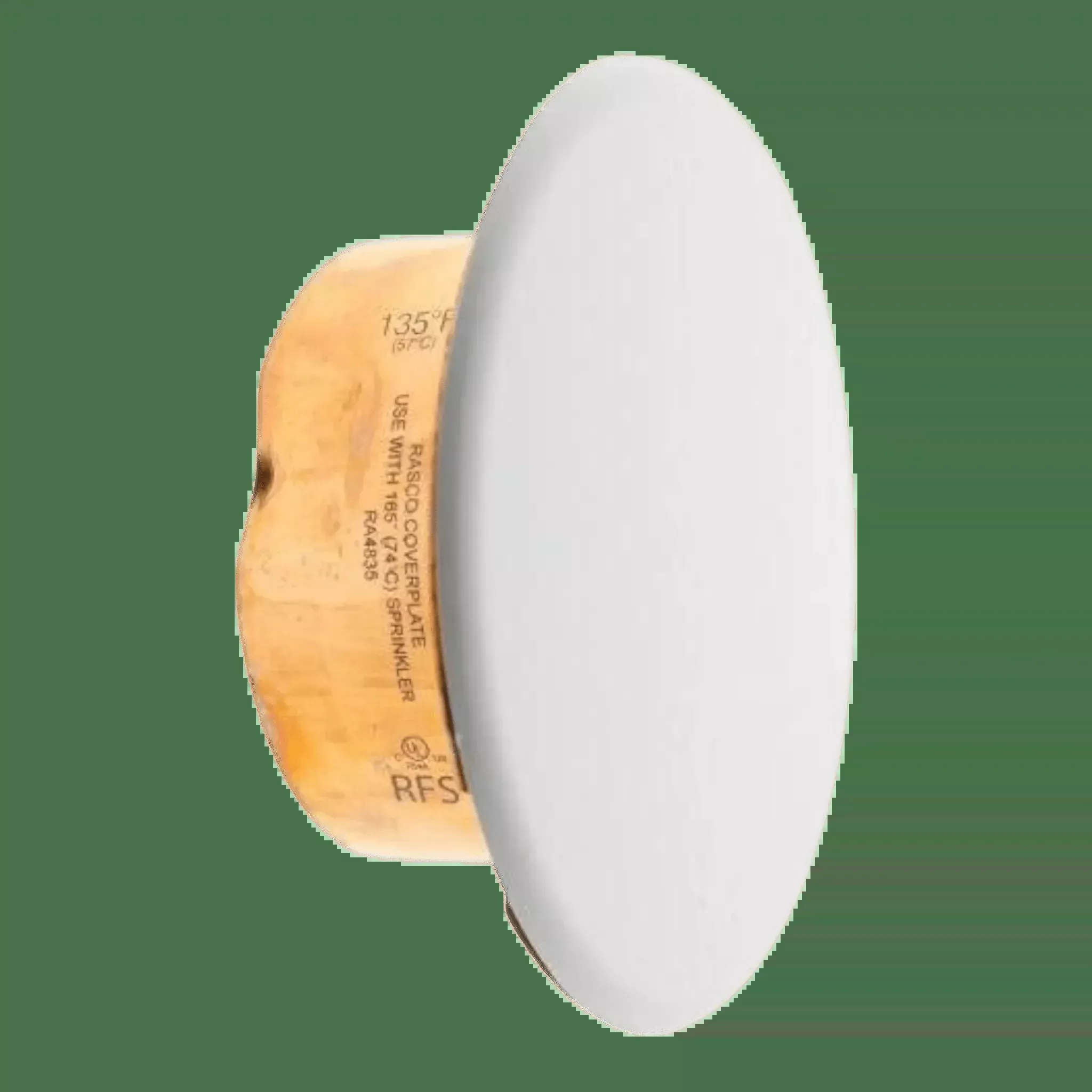 Reliable Model RFS42 Fire Sprinkler Cover Plates for Enhanced Safety