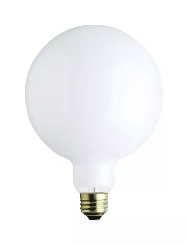 Westinghouse 60 W G40 Globe Incandescent Bulb E26 (medium) White 1 Pk
