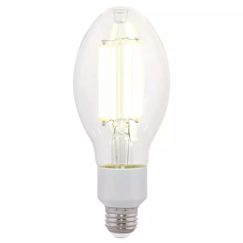 Westinghouse Ed23.5 E26 (medium) Filament Led Bulb Daylight 150 Watt Equivalence 1 Pk