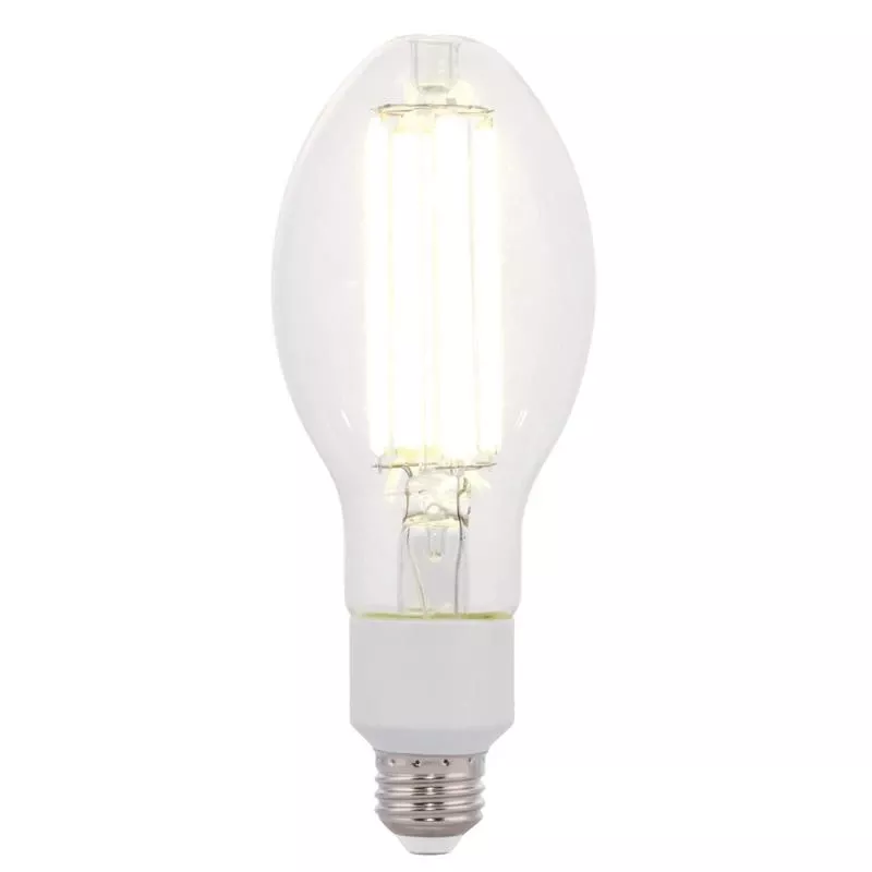 Westinghouse Ed23.5 E26 (medium) Filament Led Bulb Daylight 200 Watt Equivalence 1 Pk