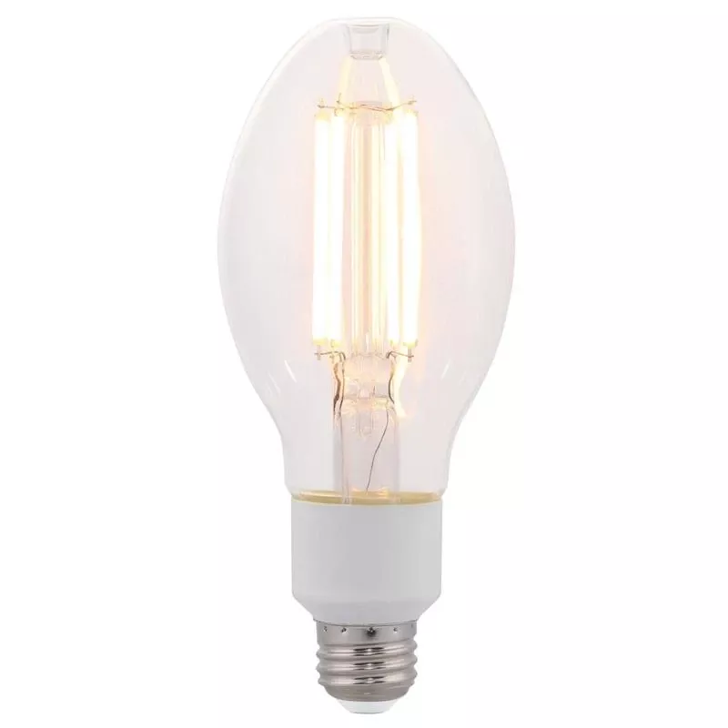 Westinghouse Ed23.5 E26 (medium) Filament Led Bulb Warm White 125 Watt Equivalence 1 Pk